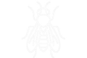 ショウジョウバエ関係