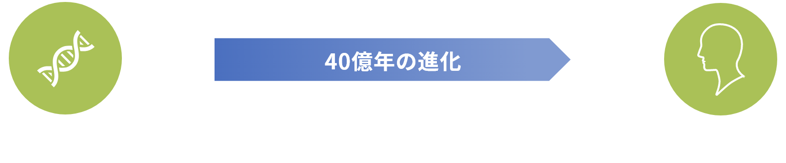 DNAの自然な変異図