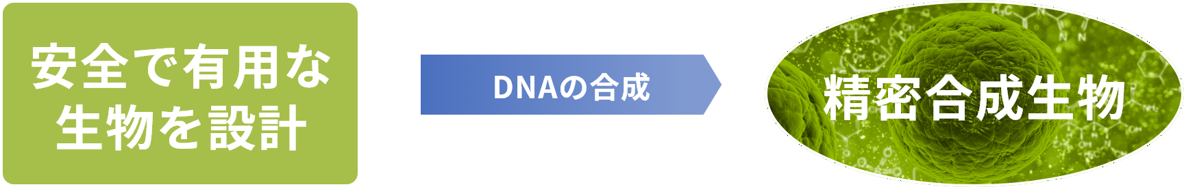 DNAの設計・製作図