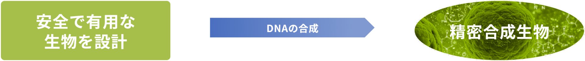 DNAの設計・製作図